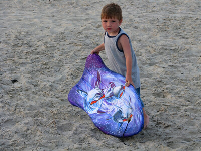 Young boy and his boogie board photo