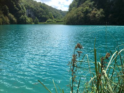 Plitvice lakes, national park Croatia, Europe photo