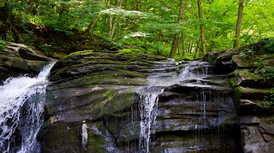 Dolly Sods Wilderness, West Virginia photo