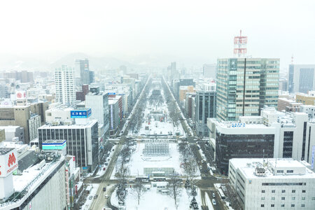 65 Sapporo photo