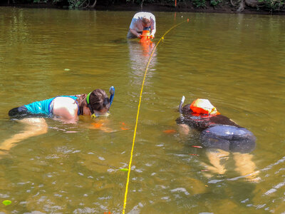 Students laying underwater transects-2
