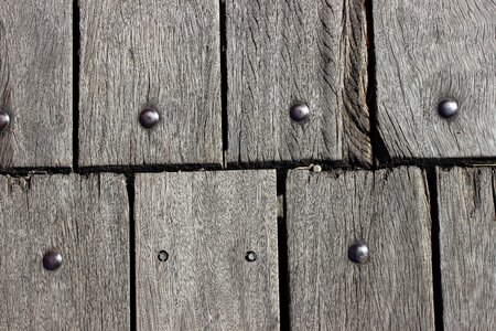 Texture wood tree