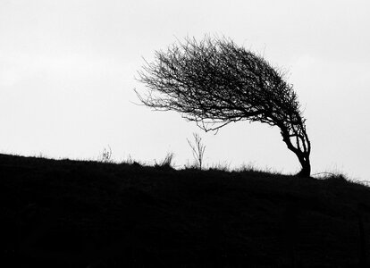 Coastal landscape silhouette photo