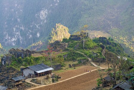 Green Rice fields on Terraced in Muchangchai, Vietnam