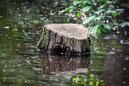 Lake pond waters
