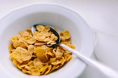 Simple bowl of cereals photo