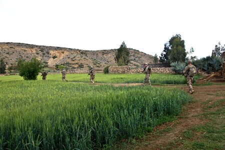 Fields marching scouts photo