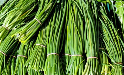 Agriculture calorie dark green