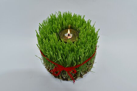 Christmas flame orthodox