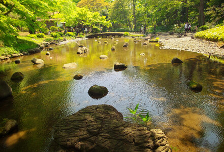 summer landscape with river photo