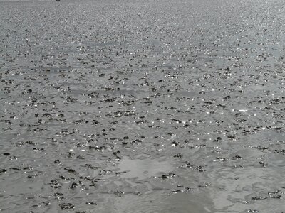 Schlick sand water