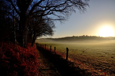 Duvenstedter brook sunrise pasture