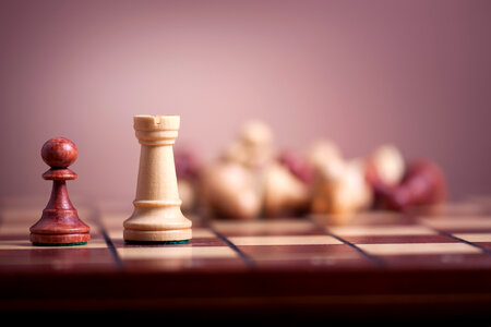 bright chess photo