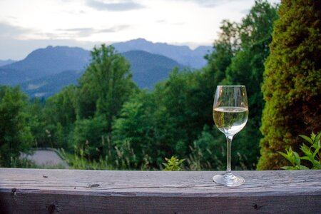 Wine with a View