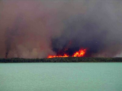 Fire flames forest