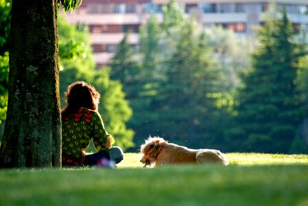 Girl sunrise puppy photo