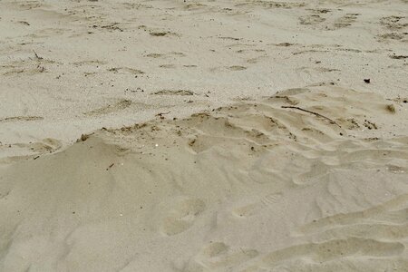 Beach sandbar soil photo