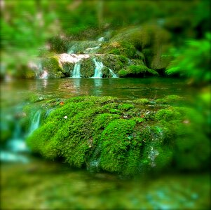 Cascade nature green