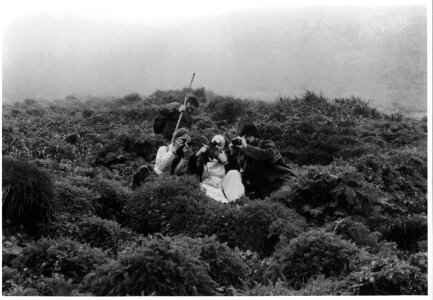 Biologists photograph puffin on Buldir Island