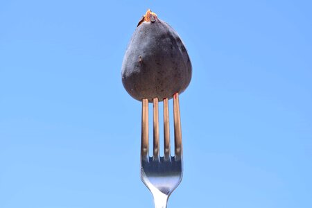 Delicious diet dietary