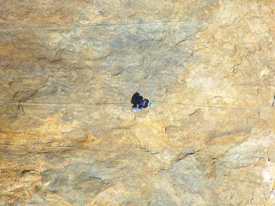 Mountain Climber wall photo