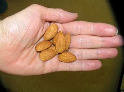 Hand handful nuts