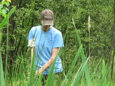 Female grass plants greenery