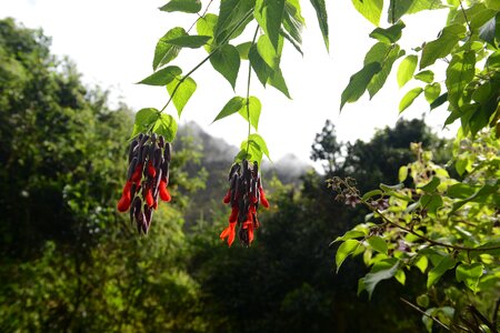 Inca trail to Machu Picchu, Cusco, Peru