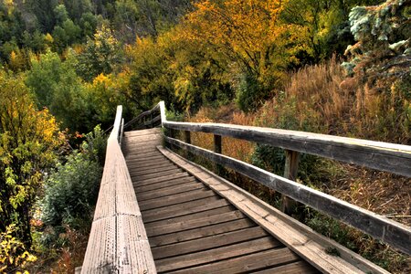 A wooden staircase in North Saskatchewan River valley