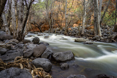 Coconino National Forest in Arizona photo