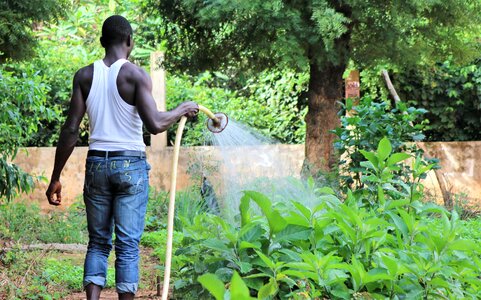 Farmer gardener garden