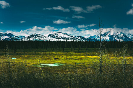 Landscape with Mountains in Denali National Park, Alaska photo
