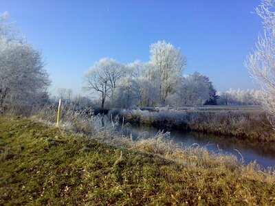 Landscape trees ice photo