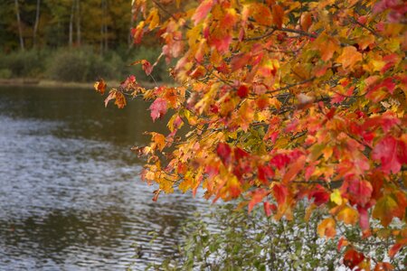 Autumn Season fall lake