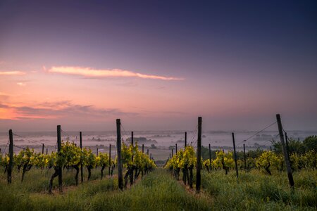 Farm and Landscape in Dienham, Germany