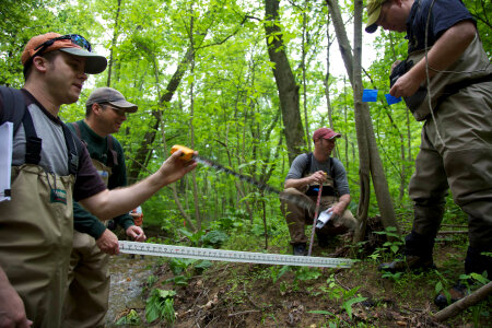 FWS employees surveying and assessing rivers and streams-3 photo