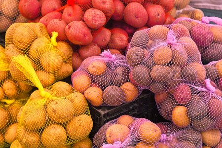 Market seattle farmers market photo