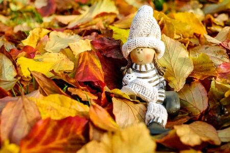 Autumn autumn season branch
