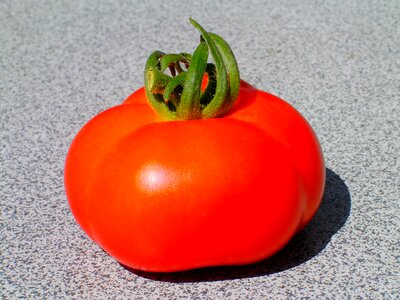Cash food vegetable