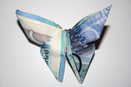 Currency butterfly origami photo