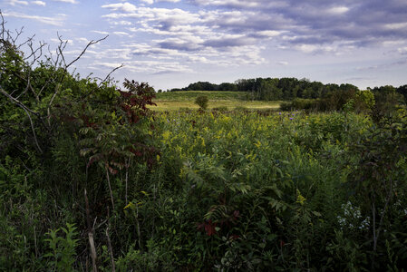 Grasses, hills, and landscape at Cherokee Marsh