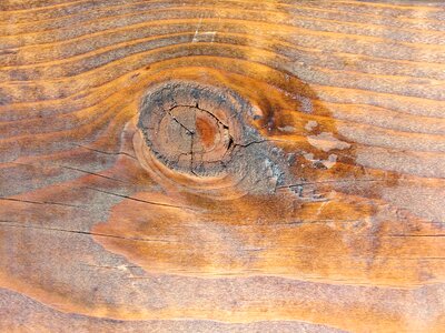 Carpentry hardwood knot photo