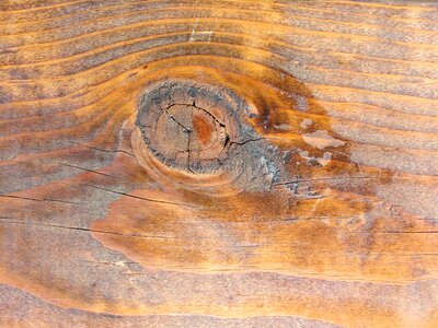 Carpentry hardwood knot