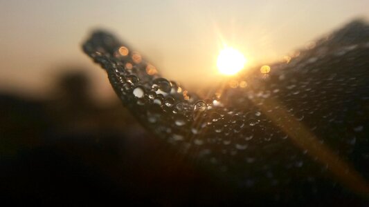 Dew sunrise sunrise on dew morning dew photo