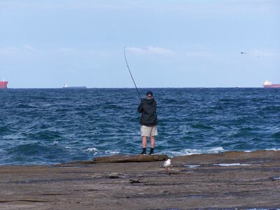 Fishery phylum photo