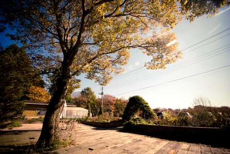 Peaceful morning countryside