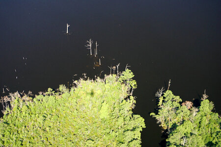 Climate impacts to Alligator River National Wildlife Refuge-2