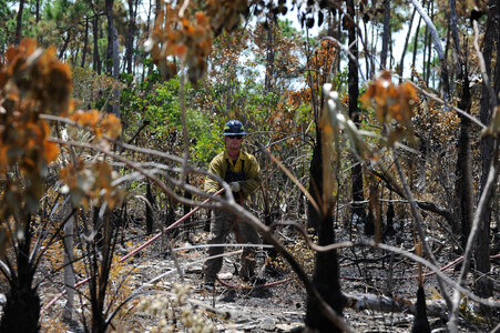 Employee works on prescribed burn