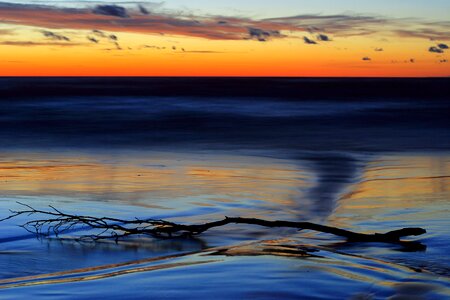 Beach twilight the coast of the baltic sea photo