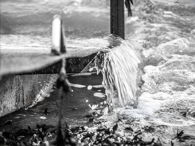 Black and white waters sea